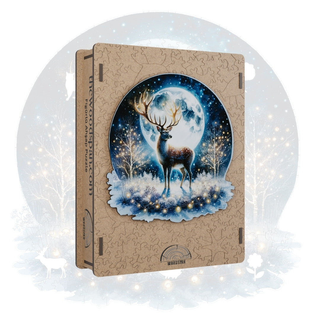 The Aurora - Gecenin Işıltısı