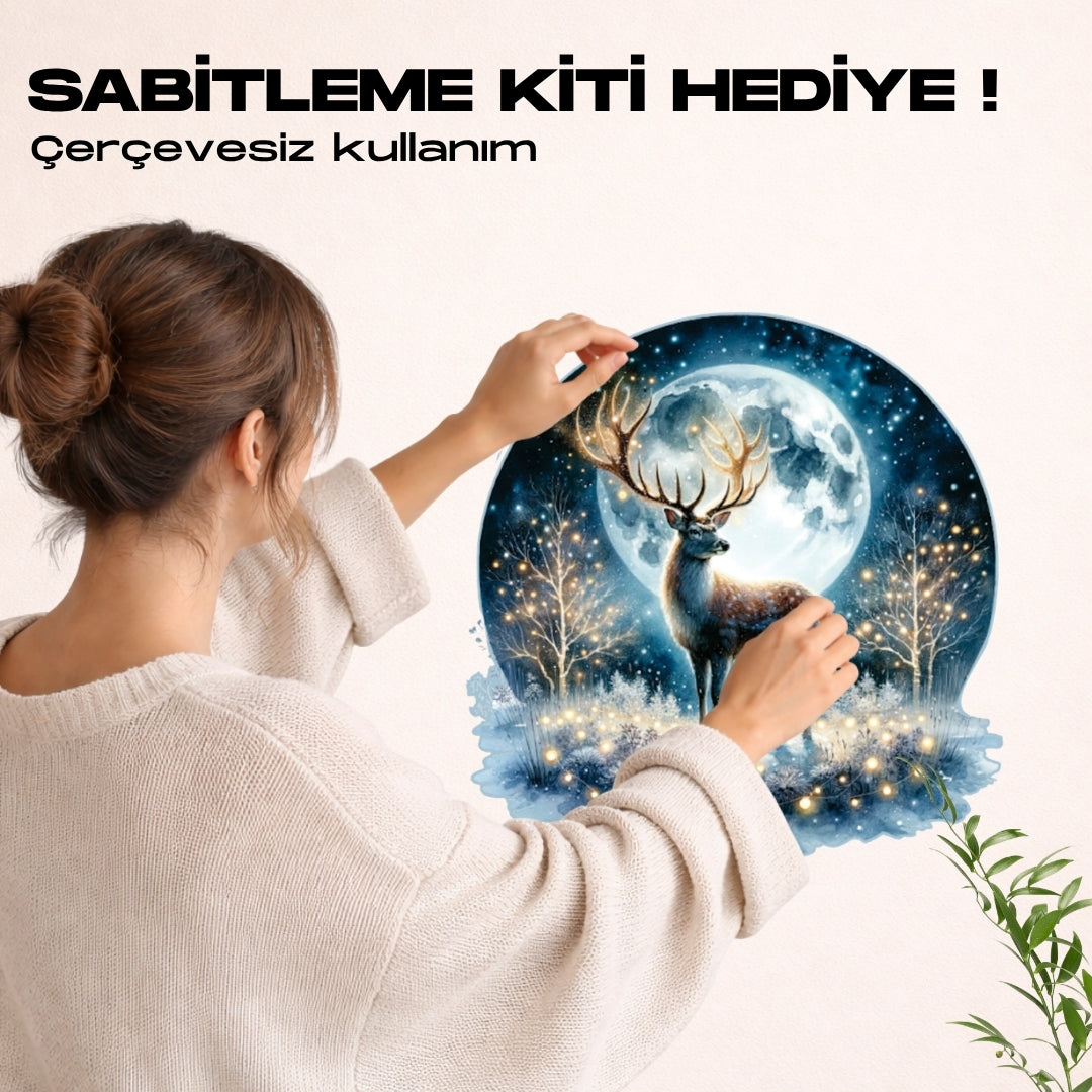 The Aurora - Gecenin Işıltısı